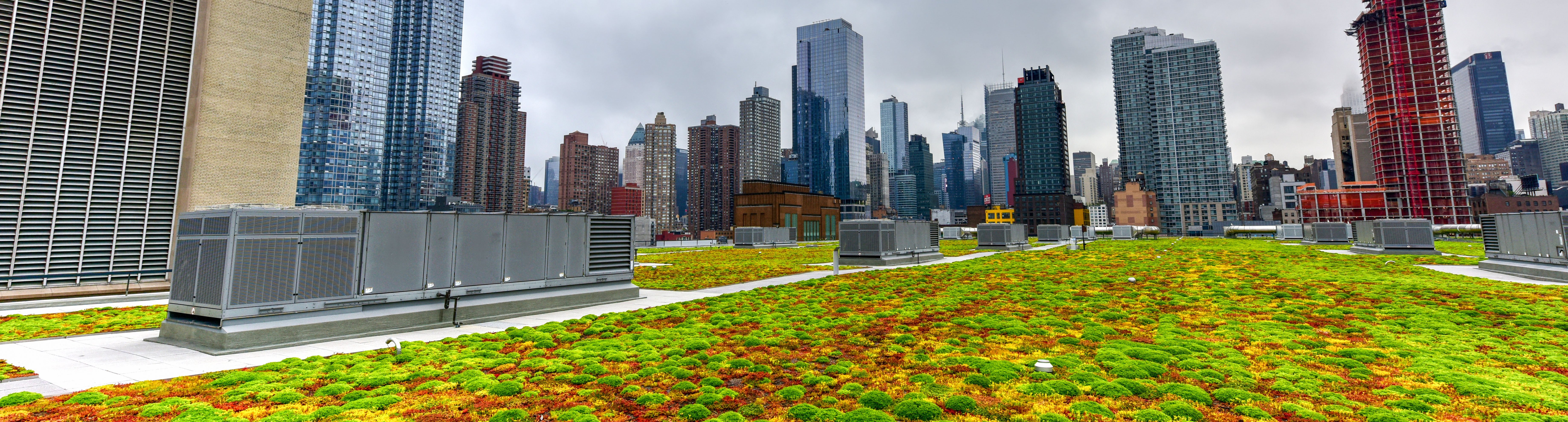 GreenRoofHeader